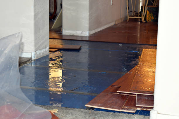 Professional Basement Flooding technician working in Preston, CT